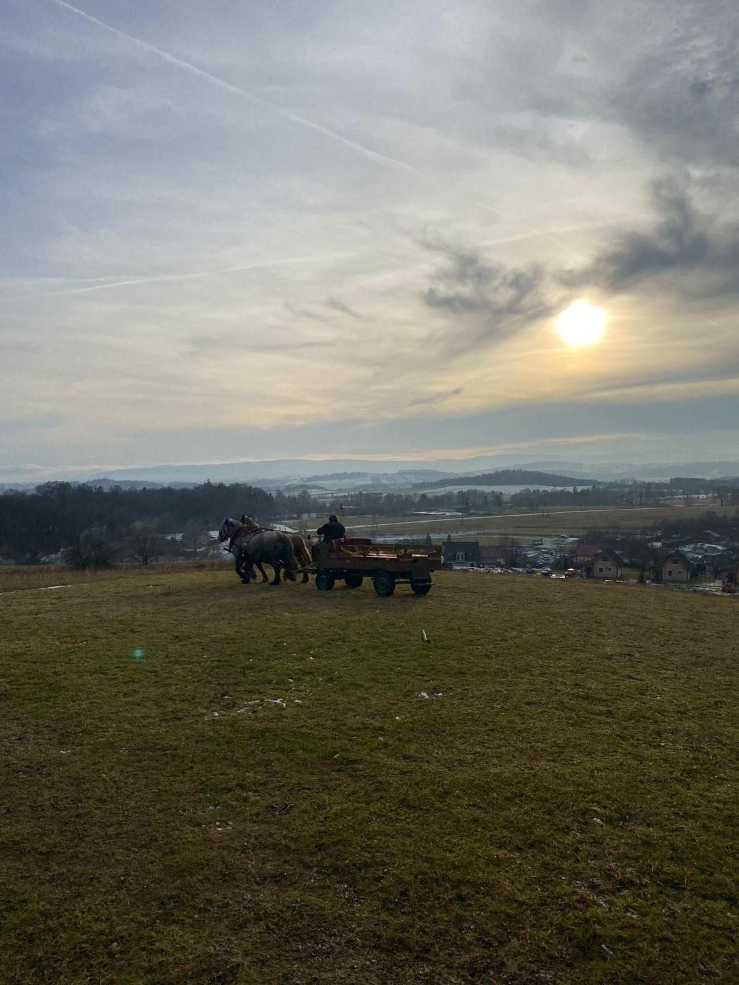 Domki Osada Bozkow W Kotlinie Klodzkiej Exteriér fotografie